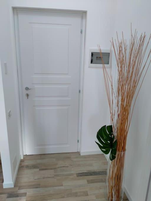 Suite Room Malpensa B&B Cardano Al Campo Ngoại thất bức ảnh